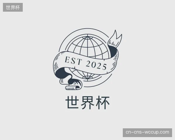 介绍世界杯公司